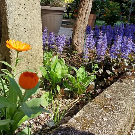 Gasthuis Perusia Perugia