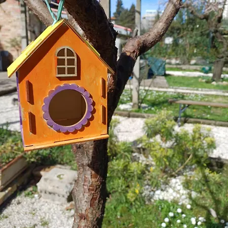 Perusia Guest house