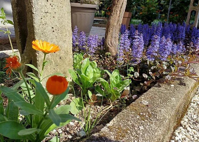 Affittacamere Perusia Perugia