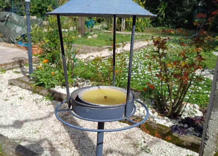 Perusia בית הארחה פרוג'ה