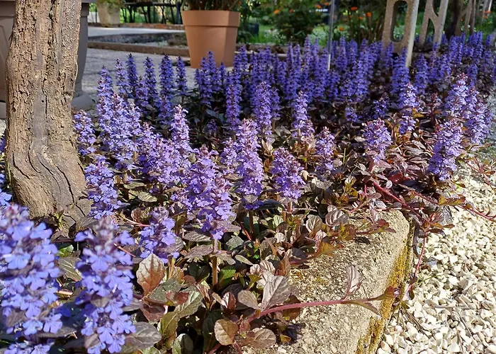 בית הארחה Perusia